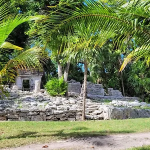 https://villa-apsara-studio.tulum-hotels.net